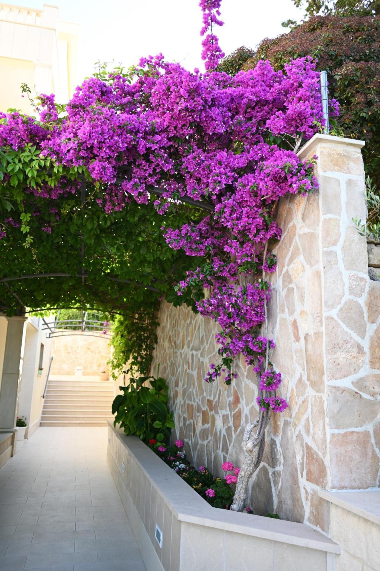 Hvar Villa Malisko Apartments Hvar Town Exterior photo